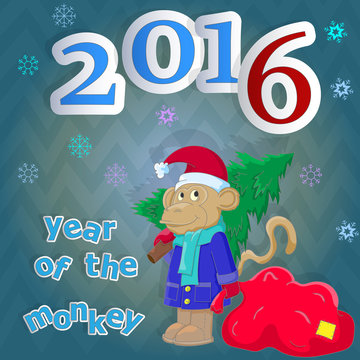 Congratulations to the new 2016 year ,with funny monkey
