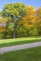 Obraz premium Colorful Autumn