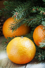 Fototapeta na wymiar Christmas New Year composition with fir branches and orange tang