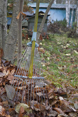 Rake And Autumn Leaves