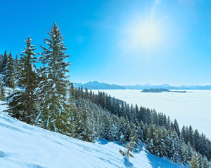 Sunny winter mountain landscape