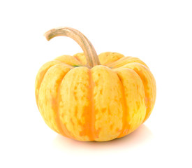 pumpkin on white background