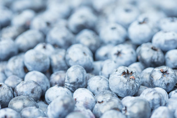 Blueberries background