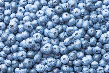 Blueberries