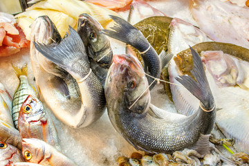 pesci legati al mercato © asferico