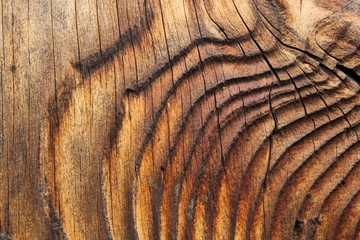 beautiful natural pattern on spruce plank
