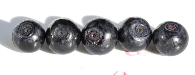 Five blueberries in a row on white background