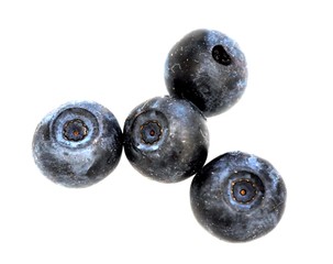 Closeup on blueberries on white background