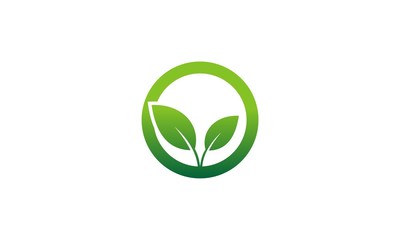 green leaf plant organic logo