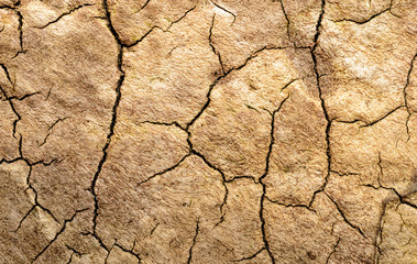 texture of a wooden surface