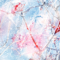 Abstract winter background with ashberry