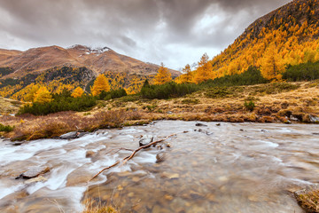 torrente in Valle della Forcola a Livigno - Valtellina (IT) 