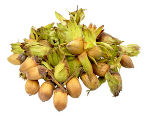 Cobnuts Isolated On White
