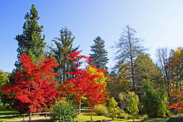 Autumn Colours