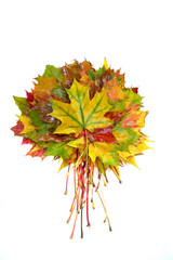 bouquet of autumn leaves