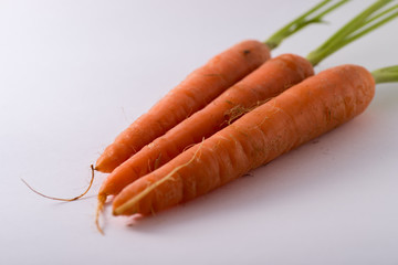 Zanahorias naturales de huerta