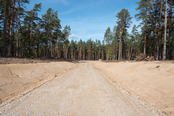 New forest road.