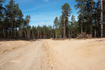 New forest road.