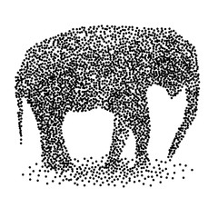 Dotted elephant calf