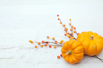 Obraz na płótnie Canvas Autumn Thanksgiving Background