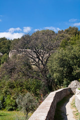 Medieval wall and trees