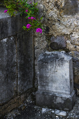 vieille tombe avec fleurs
