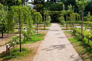 Tranquil garden