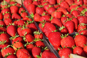 red strawberries