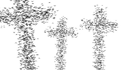 A flock of flying birds forms the grave crosses - part of timelapse, stop motion, gif animation