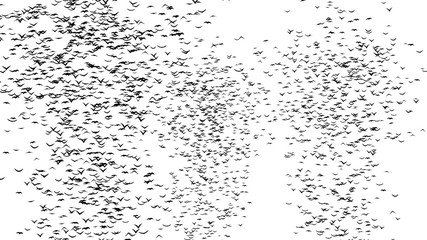 A flock of flying birds forms the grave crosses - part of timelapse, stop motion, gif animation