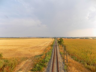 Fototapeta na wymiar Railroad between fields