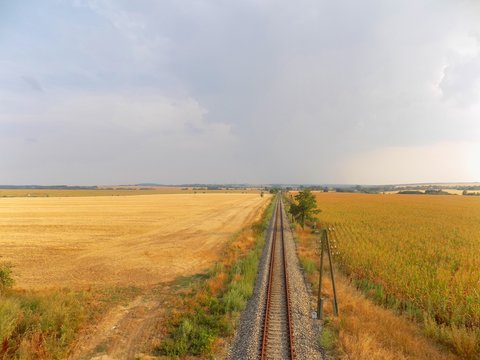 Railroad between fields