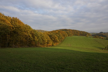 colored trees in autumn