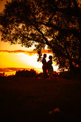 Naklejka na ściany i meble Romantic couple standing and kissing on background summer meadow sunset