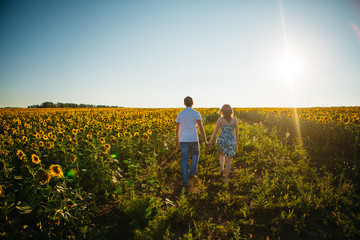 Romantic couple  go and holding hands on background summer meadow sunflower sunset