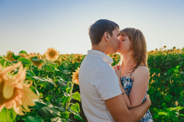 Romantic couple standing and kissing on background summer  field sunflower sunset