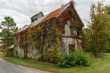 Old Abandoned and Overgrown House