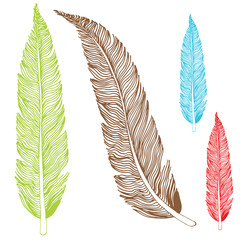 Feather Drawing