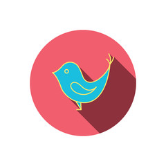Bird with beak icon. Social media concept sign.