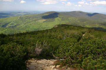 Babia Góra - ścieżka © Pirx