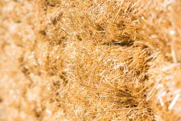 Fresh straw hay bales background