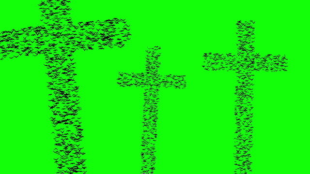 A flock of flying birds forms the grave crosses, green screen, looping animation