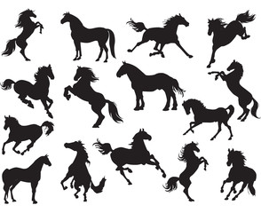 Silhouettes of horses (vector horses clipart )