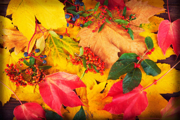 Obraz premium Autumn leaves background