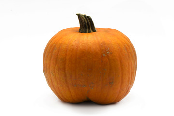 isolated pumpkin