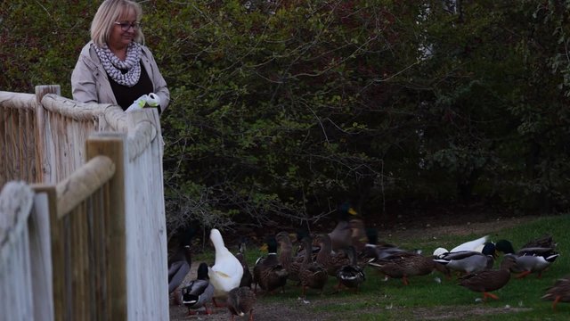 mujer de cincuenta a&ntilde;os dando de comer a los patos en el parque