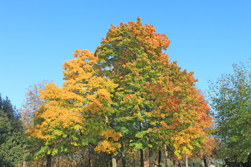 Couleurs d'automne