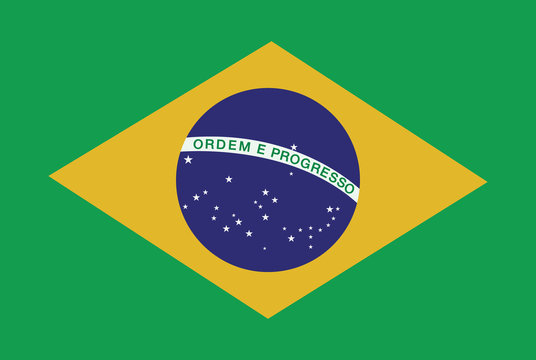 brazil flag over green background vector illustration