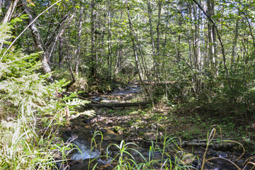Mountain River . 
Mountain River in the northeast of Khabarovsk Krai , Russia .