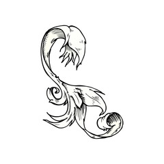 traditional hand drawn floral swirl